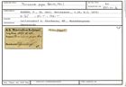 Karteikarte zum Belegmaterial von Plecanium pupa (Reuss, 1860)